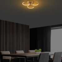 Люстра Opviq Halka-13311 фото №2 — интернет-магазин Desire.md