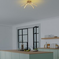 Lustră Opviq Ledbanana 13686 imaginea #4 — magazin online Desire.md