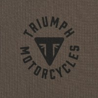 Мужская толстовка Triumph Digby Hoody Irn/Black (MSWS26101-M) фото №3 — интернет-магазин Desire.md