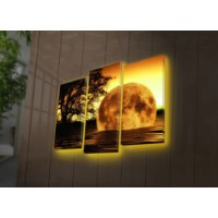 Set de 3 picturi Wallity 3PATDACT-26
