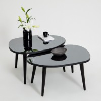Set de măsuțe de cafea Hanah Home Gusto SetBlack Fume