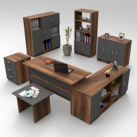Комплект офисной мебели Hanah Home Vo19-Ba