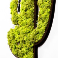 Panou decorativ Wallity Cactus imaginea #3 — magazin online Desire.md