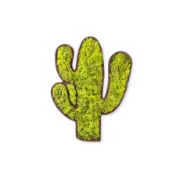 Panou decorativ Wallity Cactus imaginea #4 — magazin online Desire.md