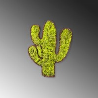 Panou decorativ Wallity Cactus imaginea #5 — magazin online Desire.md