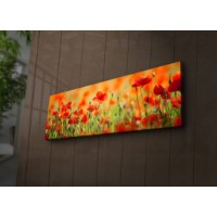 Pictură Wallity 3090İACT-13 imaginea #3 — magazin online Desire.md