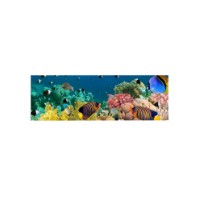 Pictură Wallity 3090DACT-13 imaginea #6 — magazin online Desire.md