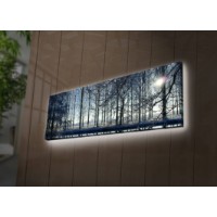 Pictură Wallity 3090DACT-37 imaginea #3 — magazin online Desire.md