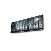 Pictură Wallity 3090DACT-37 imaginea #5 — magazin online Desire.md