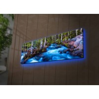 Картина Wallity 3090DACT-38 фото №3 — интернет-магазин Desire.md
