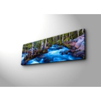 Картина Wallity 3090DACT-38 фото №4 — интернет-магазин Desire.md