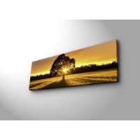 Pictură Wallity 3090DACT-68 imaginea #2 — magazin online Desire.md
