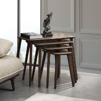 Набор журнальных столиков Hanah Home Luci Walnut 4pcs фото №3 — интернет-магазин Desire.md