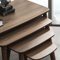Набор журнальных столиков Hanah Home Luci Walnut 4pcs фото №4 — интернет-магазин Desire.md
