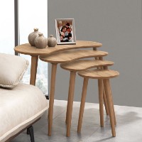 Набор журнальных столиков Hanah Home Moon Oak 4pcs фото №3 — интернет-магазин Desire.md