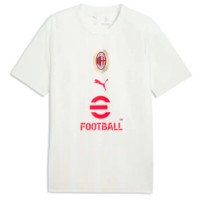 Tricou bărbătesc Puma Acm Warm Up Vapor Gray/Authentic Gold, s.S