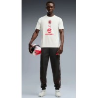 Tricou bărbătesc Puma Acm Warm Up Vapor Gray/Authentic gold, s.XL imaginea #3 — magazin online Desire.md