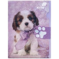 Папка для бумаг Kite A4 Rachael Hale (R25-248)