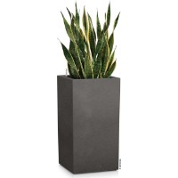 Ghiveci Lechuza Canto Stone 30 High Graphite Black imaginea #3 — magazin online Desire.md