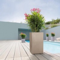 Ghiveci Lechuza Canto Stone 30 High Sandy Beige imaginea #2 — magazin online Desire.md