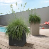 Ghiveci Lechuza Canto Stone 30 Low Graphite Black imaginea #2 — magazin online Desire.md