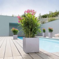 Ghiveci Lechuza Canto Stone 30 Low Quartz White imaginea #4 — magazin online Desire.md
