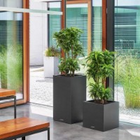 Ghiveci Lechuza Canto Stone 40 High Graphite Black imaginea #3 — magazin online Desire.md