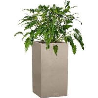 Ghiveci Lechuza Canto Stone 40 High Sandy Beige imaginea #4 — magazin online Desire.md