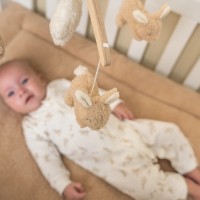 Carusel pentru pătuc Little Dutch Baby Bunny (LD8854) imaginea #2 — magazin online Desire.md