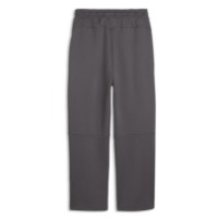 Pantaloni spotivi pentru bărbați Puma Pumatech Oversized Moody Gray, s.S imaginea #2 — magazin online Desire.md
