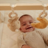 Stand de jocuri Little Dutch Newborn Naturals (LD8410) imaginea #5 — magazin online Desire.md