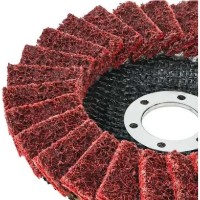 Disc de șlefuit Raider 164155