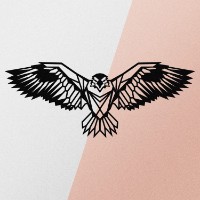 Panou decorativ Wallity Eagle3 Metal Decor imaginea #6 — magazin online Desire.md