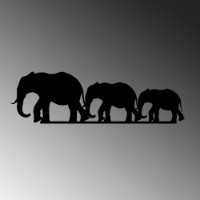 Panou decorativ Wallity Elephant 070 imaginea #6 — magazin online Desire.md