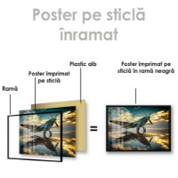 Pictură ArtShop Airplane at Sunset 90x60cm (PTR63) imaginea #2 — magazin online Desire.md
