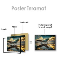 Картина ArtShop Airplane at Sunset 60x40cm (PTR63-L-L) фото №2 — интернет-магазин Desire.md