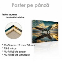 Pictură ArtShop Airplane at Sunset 60x40cm (PTR63-L-PL) imaginea #2 — magazin online Desire.md