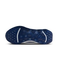Кроссовки мужские Nike Motiva Comet Blue/Royal Blue/Midnight Navy/Comet Blue, s.44,5 фото №8 — интернет-магазин Desire.md