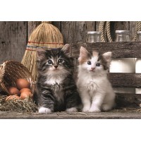 Пазл Clementoni 1000 HQC Lovely Kittens (39943) 