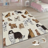 Covor Conceptum Hypnose Csbrghl-168 1.60x2.30m