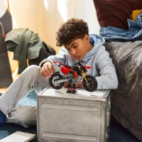 Set de construcție Lego Technic: Ducati Desmo450 MX Factory Motorcycle (42238) imaginea #8 — magazin online Desire.md