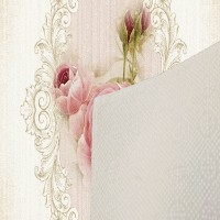 Covor Conceptum Hypnose Eexfab669 1.80x2.80m imaginea #7 — magazin online Desire.md