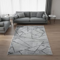 Covor Conceptum Hypnose Eexfab825 1.80x2.80m