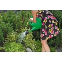 Stropitoare Prosperplast Spring IKSP02-G642 imaginea #2 — magazin online Desire.md