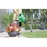 Stropitoare Prosperplast Spring IKSP02-G642 imaginea #3 — magazin online Desire.md