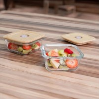 Набор пищевых контейнеров Miniland EcoSquare Chick 2pcs 210ml (89544) фото №2 — интернет-магазин Desire.md
