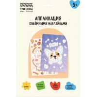 Set pentru creatie Три Совы А4 Corgi (АПно_65000)