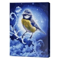 Tablou pe numere Art Gallery Econom Titmouse On A Frozen Branch (GX24666)
