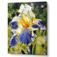 Tablou pe numere Art Gallery Econom Iris albastru 30x40cm (EX7956)