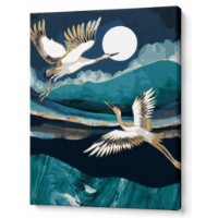 Tablou pe numere Art Gallery Econom Cocori pe cer 30x40cm (EX7821)